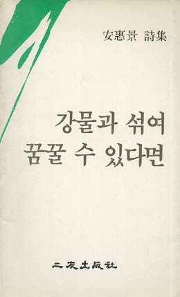 강물과 섞여 꿈꿀 수 있다면 - 안혜경-강물과 섞여 꿈꿀 수 있다면.jpg