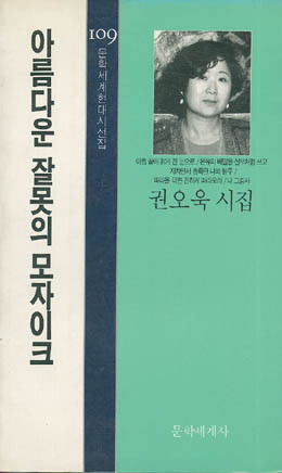 권오욱-아름다운 잘못의 모자이크.jpg