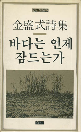 김성식-바다는 언제 잠드는가.jpg